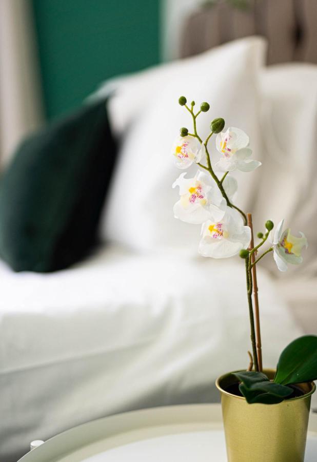 Comfortable House In Sleeps5 Free Parking Good Amenites Nuneaton